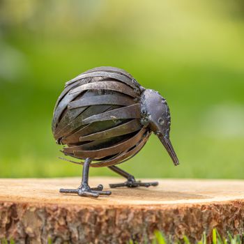 Twee Kiwi's